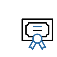 מקצוענות Professionalism